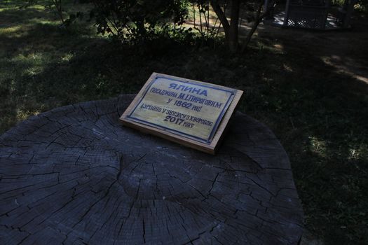 Commemorative plaque on a cut of a tree