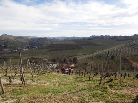 Overview of the Langhe hills and its vineyards