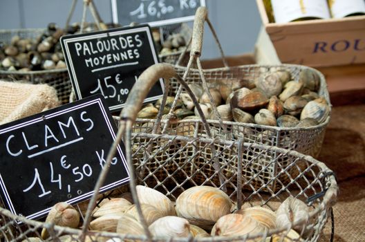 Clams on sale at a French market