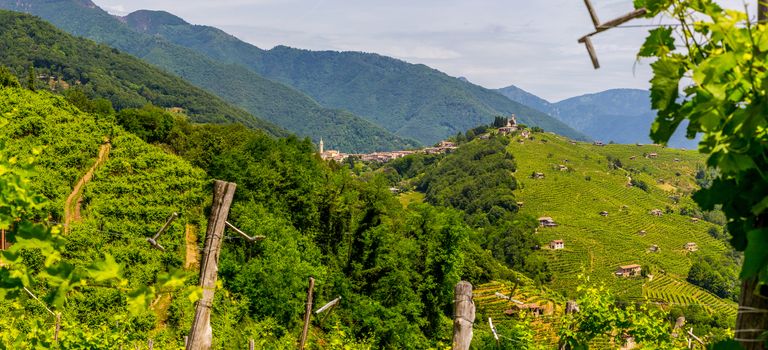 Panorama of Prosecco wine region, Combai village