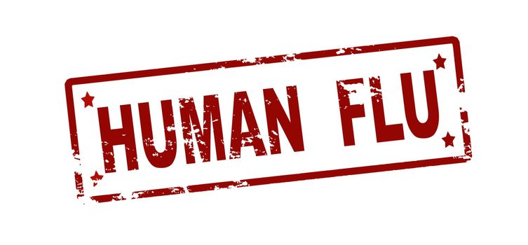 Human flu