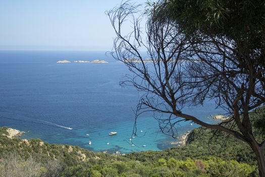 Sardinian natural Landscape 13