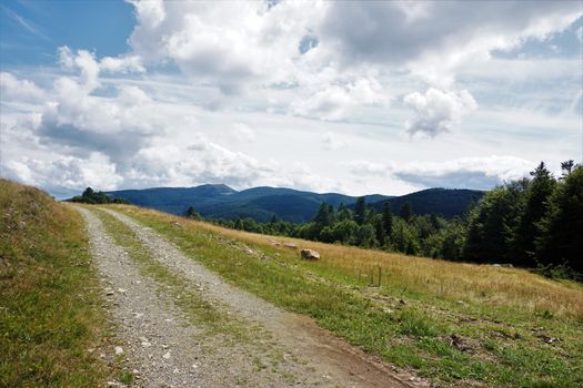 Dirt road in front of mountain ridges of the Vosges