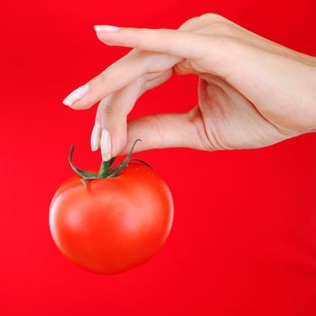 Tomato in woman hand