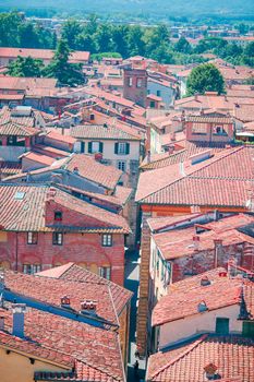 Aerial view of ancient building with red roofs in Lucca