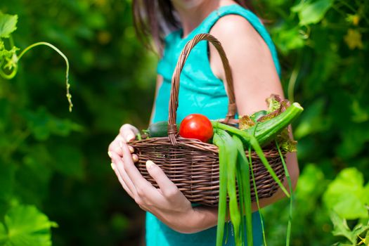 Close-up basket of greens in woman's hands