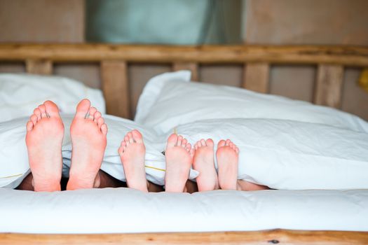 Feet of family in bed
