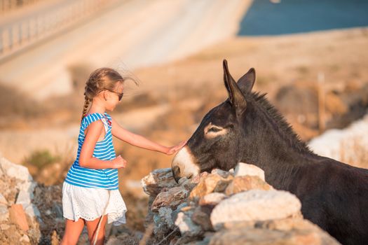 Little adorable girl with donkey in its wild habitat