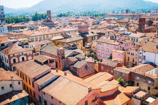 Aerial view of ancient building with red roofs in Lucca