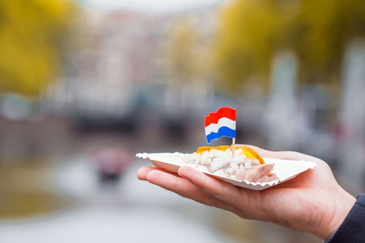 Fresh herring with onion and netherland flag on the water channel background in Amsterdam. Traditional dutch food