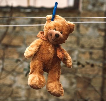 cute brown wet teddy bear hanging on a clothesline and drying 