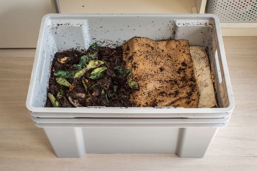 A DIY worm farm composting bin in an apartment