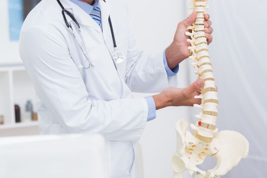 Doctor holding anatomical spine 
