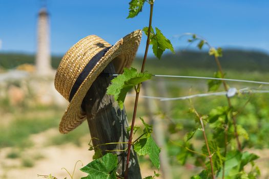 Straw hat in the vineyard close up