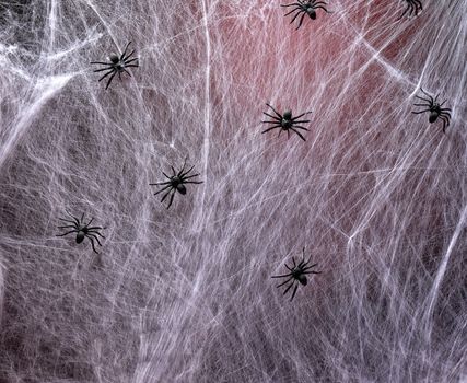 stretched white web with red backlight and black spiders