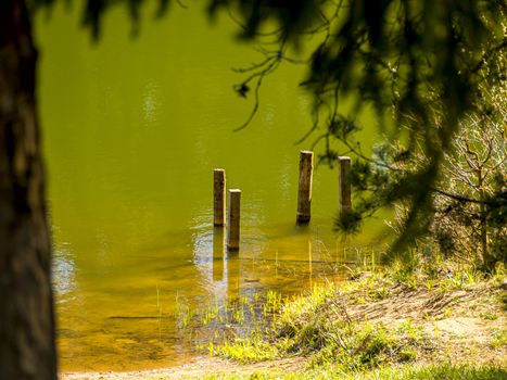 Summer green lake