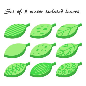 Vector set of 9 green leaves