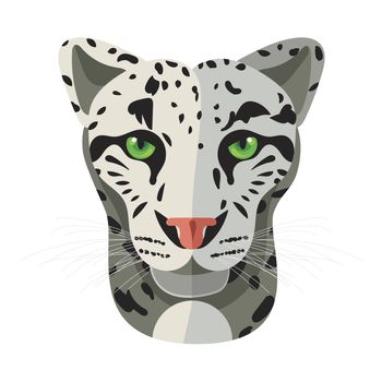Wild cat, irbis, leopard, snow bars