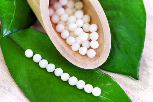 Macro close up of homeopathic pills on green leaf.