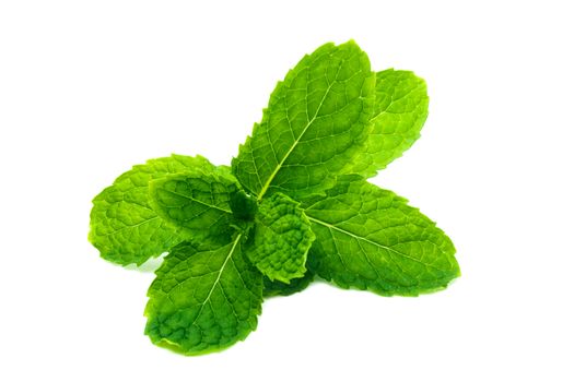 Fresh and green peppermint, spearmint leaves isolated on the whi