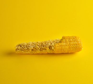 boiled corn cob is bitten and lies on a yellow background