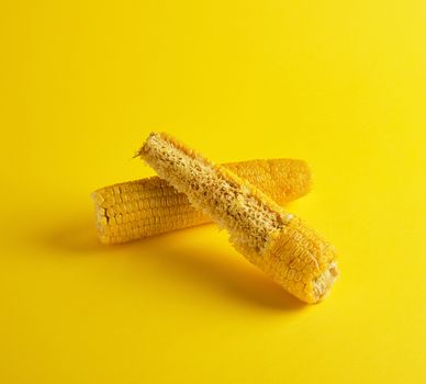 two boiled corncob lies on a yellow background
