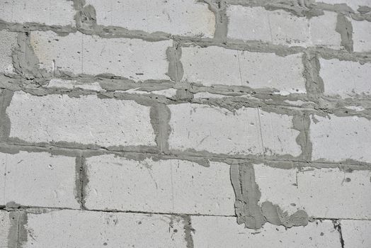 raw brickwall with visible concrete lines