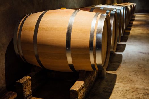 Aligned wine barrels in a cellar