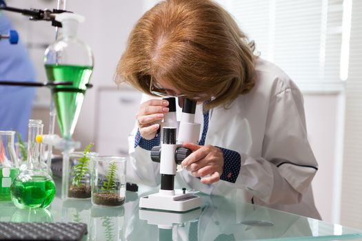 Portrait of middle age female biotechnology scientist working on
