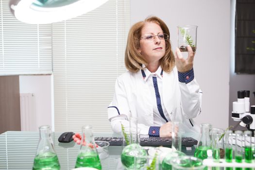 Academic scientist doing research on plants in microbiological lab