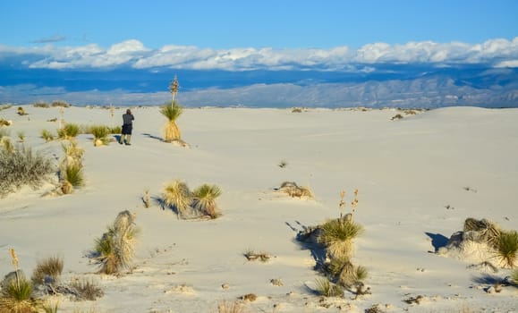 A tourist walks in the sand dunes,  White Sands National Monument, New Mexico, USA