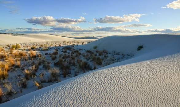 Desert landscape of gypsum dunes in White Sands