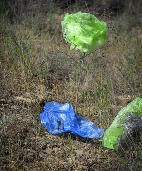 empty plastic bags fly through the green meadow 