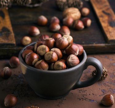 a whole hazelnut nutshell in a brown clay cup