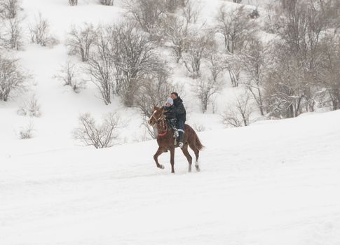 the horse and rider, winter