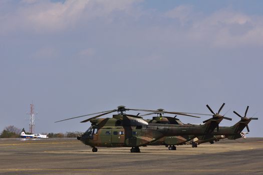 Military Atlas Oryx Helicopters Parked On Airfield