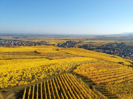 flight over vineyard Alsace France