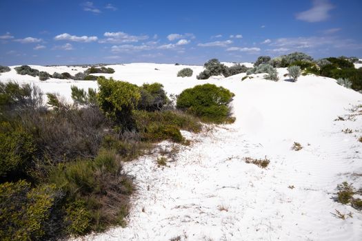 white dune sand scenery western Australia