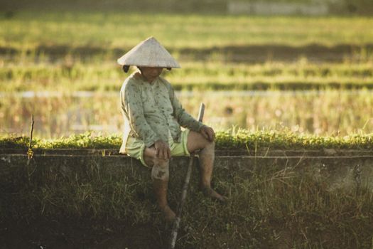 A Vietnamese rice farmer sitting to take a break