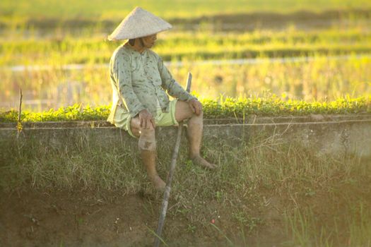 A Vietnamese rice farmer sitting to take a break