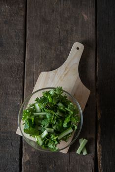 fresh cilantro salad, coriander with cucumber salad. Healthy foo
