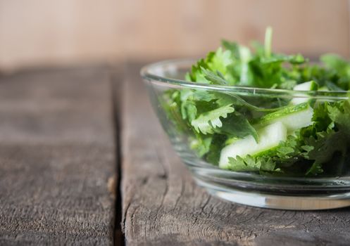 fresh cilantro salad, coriander with cucumber salad. Healthy foo