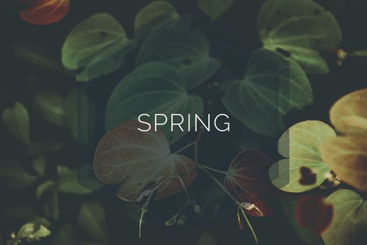 Spring themed typography background