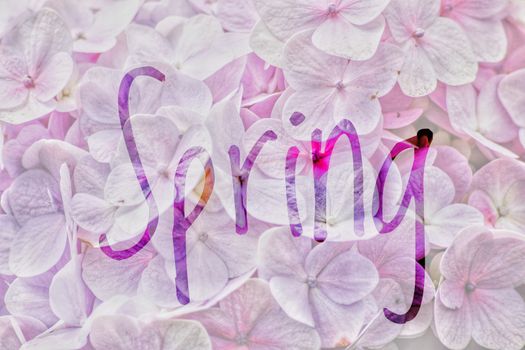 Spring Season Background