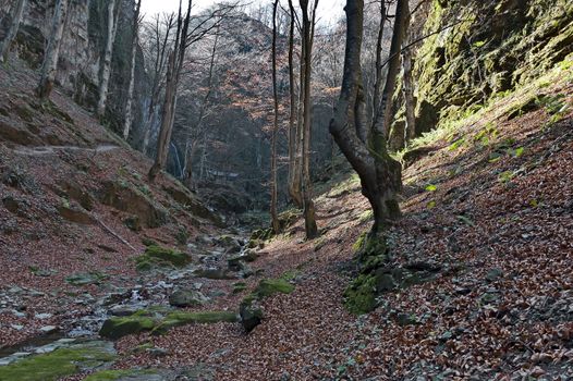 Autumn walk through the labyrinth of the Teteven Balkan with high peaks, river and waterfall, Stara Planina