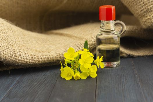 Yellow canola or rapeseed flowers with oil