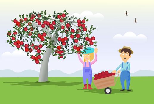 Male and female gardeners are collect apples from the tree to the cart. With mountains and sky as the background