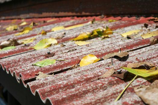 many dry leaves fall on old roof, concept relax, travel in natur