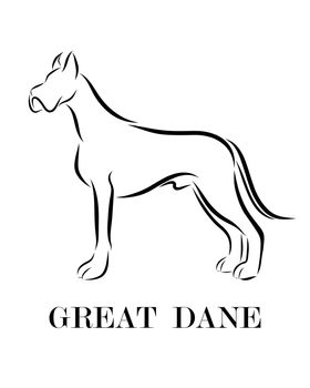 Great Dane dog line art eps 10