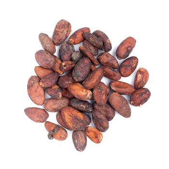 Cacao fruit, raw cacao beans, Cocoa pod isolated on white backgr
